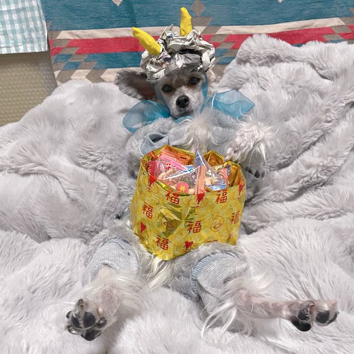 7f7d0b79 9a5a 448b 8afc 221258774236 1770090532485