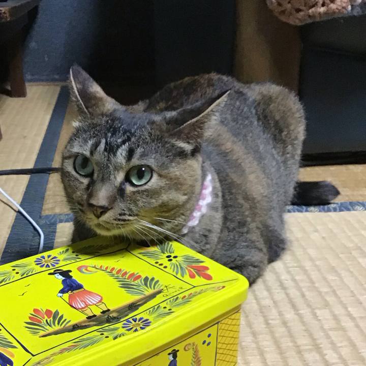 7f7d5fc4 abad 4757 97fe 18e98bd4b88f 1690980438433