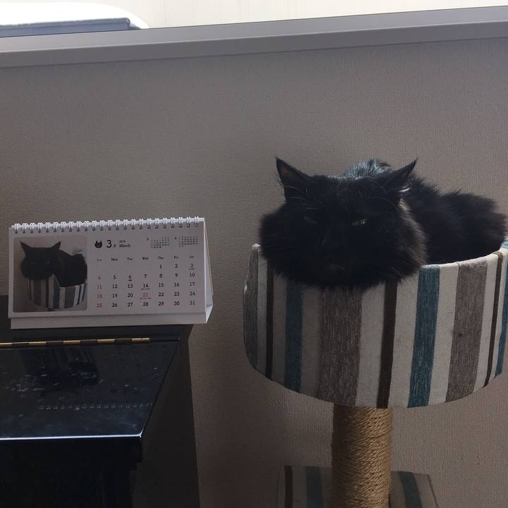 7f7d6859 8c0e 4332 9840 a4b621e8b1a6 1520043856590