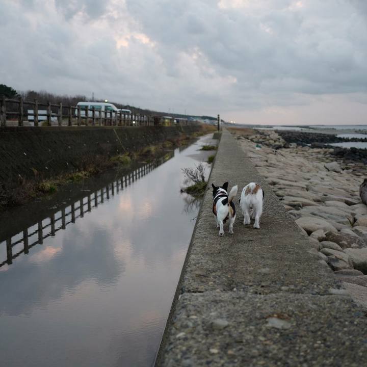 7f7d96d9 96dd 476b 9f22 9601a21f8a79 1510723189246