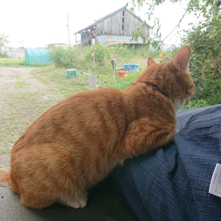 7f7df195 ced0 4c28 83dd d33c55e677ea 1600580041661