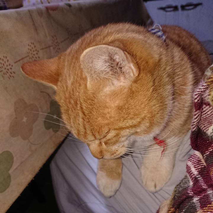 7f7dfd23 d628 4f11 b7dc 6e3acdc87904 1574196200205