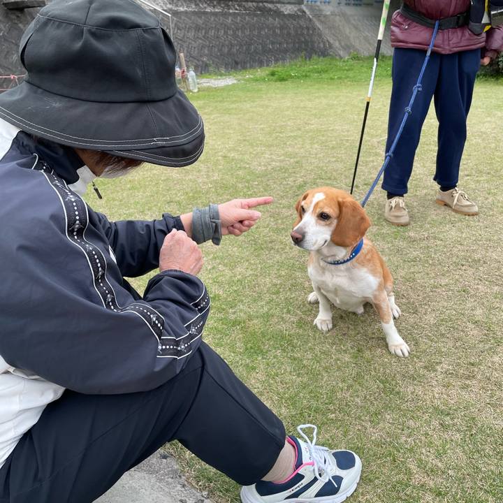 7f7e1995 13b4 4379 aaf8 95b9d57a821e 1680185899785