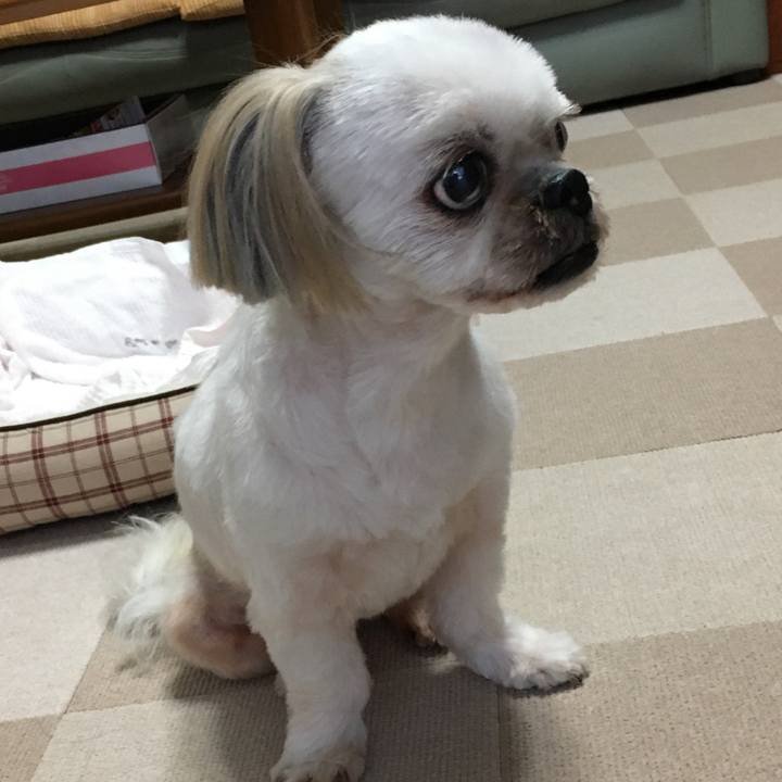 7f7e57dc 1bd9 497d 9e6d 5303b4bc6486 1633779438391