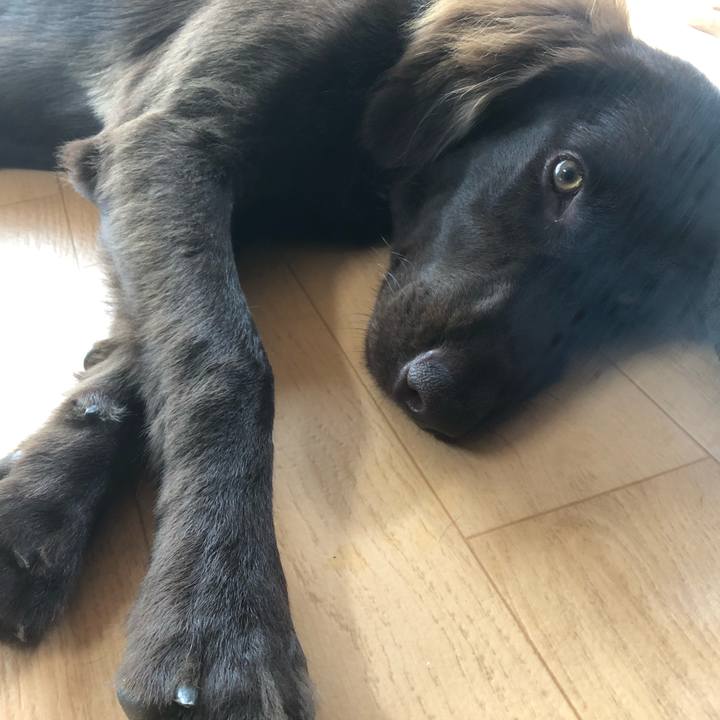 7f7e6acb 16ef 41cb 84f3 be0adb420717 1562638814709