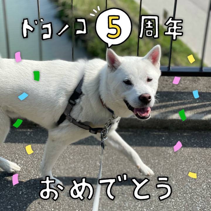 7f7e7e99 32e1 4791 b386 529c35909069 1622863622875