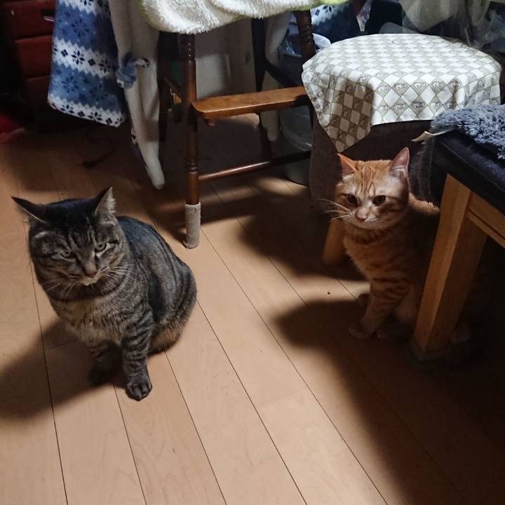 7f7e9d9a 6ed8 4855 a237 1760f64b09fe 1644183410146