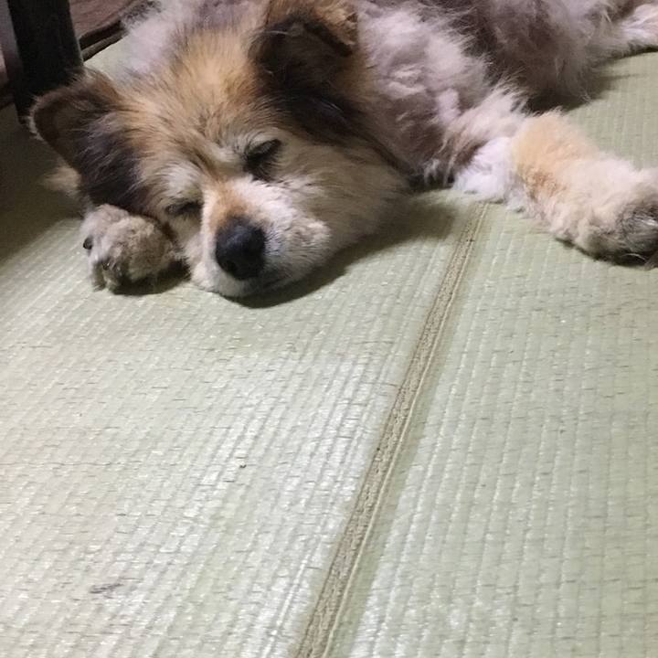 7f7ea4a2 74ba 40da 99a0 a9a8bd1ad325 1609007851775