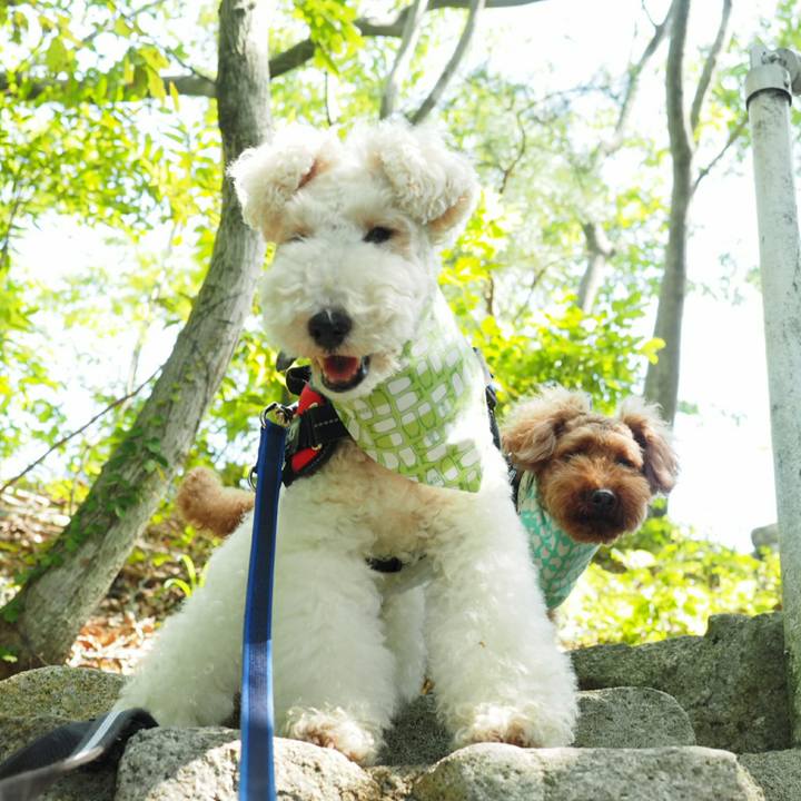 7f7ec188 cc4d 4a21 961c dc02a32e740f 1527388239727