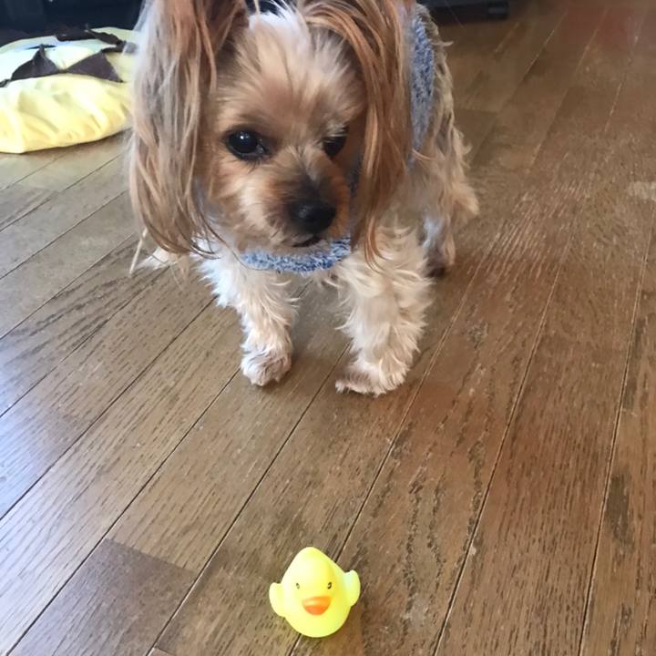 7f7ec30b 7f09 4b80 9b55 1b7e30e633e4 1582794336375