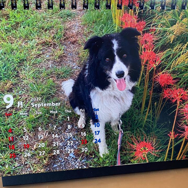 7f7ec662 5fd1 4b21 af20 649db8822ac6 1661983502291