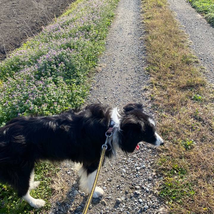 7f7f00df 57d2 4b55 b891 433860a83bbd 1700441591029