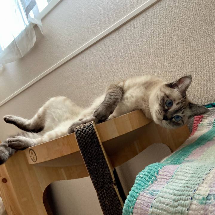 7f7f08f3 b43a 4875 a709 813a162faef1 1724734306412