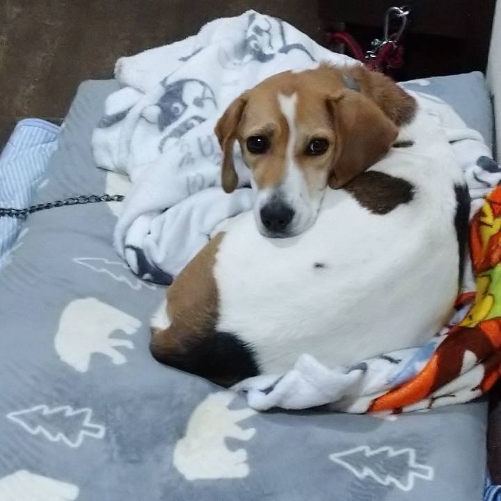 7f7f407e ce69 4132 a99a 3309dc3b2dc3 1610019983150