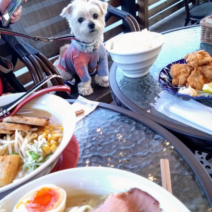 7f7f528a 86bf 4db6 8f04 9874dd8e89ca 1742644858521