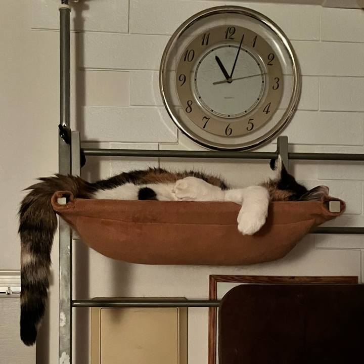 7f7f674d 33d1 460b 9b3b c5e2cfaa1aa9 1696601406897