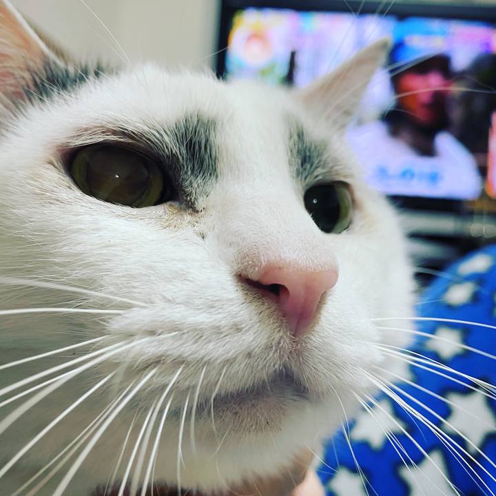 7f7f6edc 9adc 4c1e 8f3c 991f155105e7 1613651037235