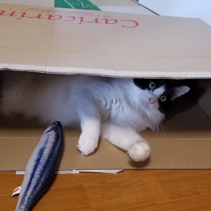 7f7f8522 d936 462a 9370 5096a3731617 1577533109138