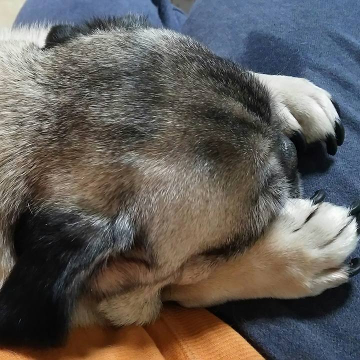 7f7f87ce 934c 4481 bdfa 6ecaa7afa5f9 1539619822767