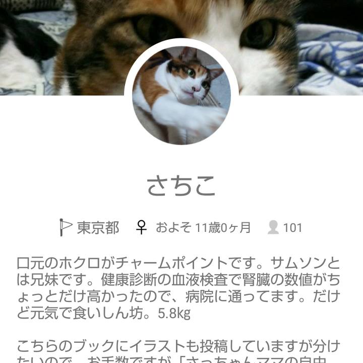 7f7f9403 85e1 48ec be7d dec18f74abf8 1535579646699