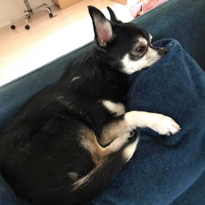 7f7fb737 3aa6 49d2 bac2 92263f6afa2f 1533359835770