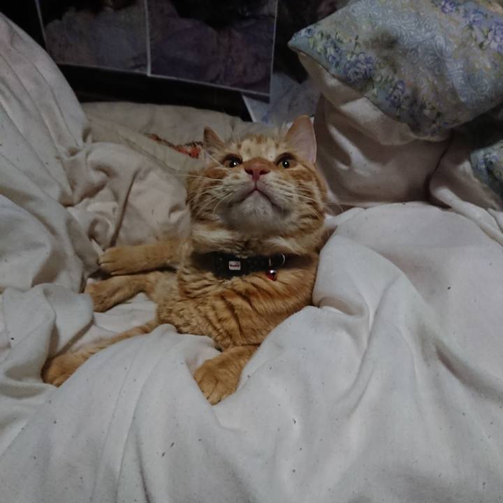 7f7fbc0d 751d 4f96 af02 dbb557d3638d 1645904750850