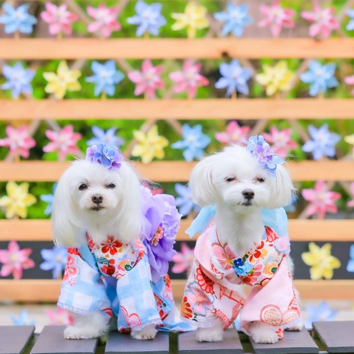 7f7feabf c35e 4655 a95b a37ced096af3 1720005663557