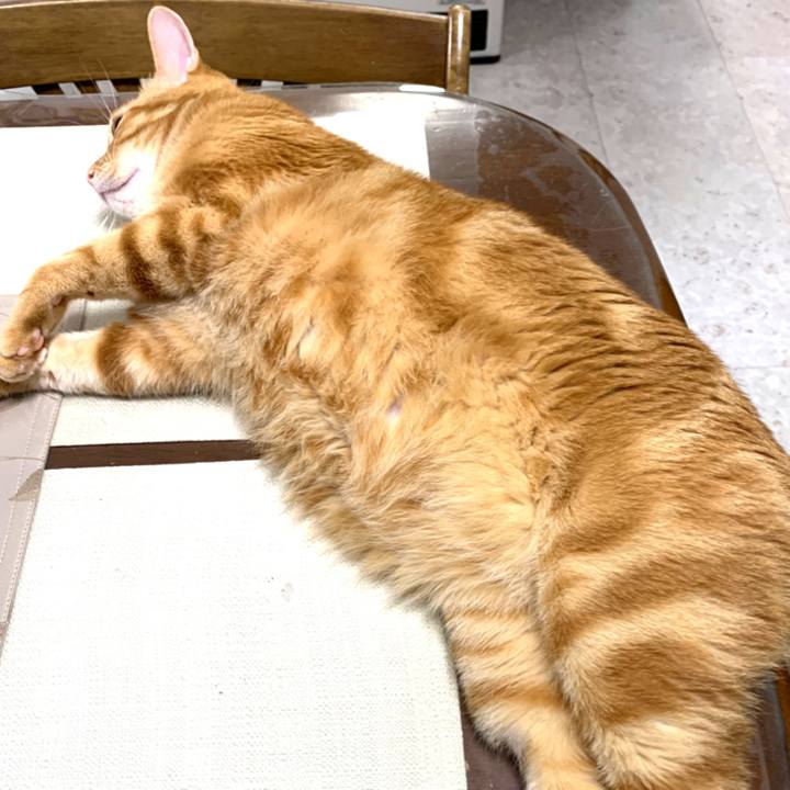 7f7fefaa e57b 4021 bc9b 33f85105573f 1575122091015