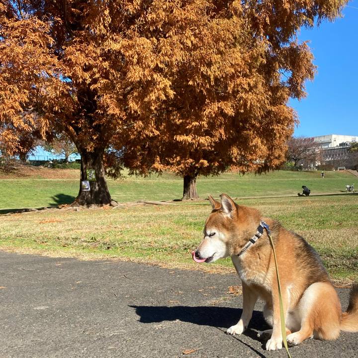 7f803856 1766 4bab 881d 0d8eeb312972 1669359879048