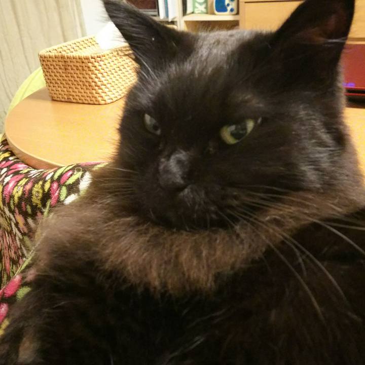 7f804731 8bfd 4846 a119 12d4ff990e11 1547976741277