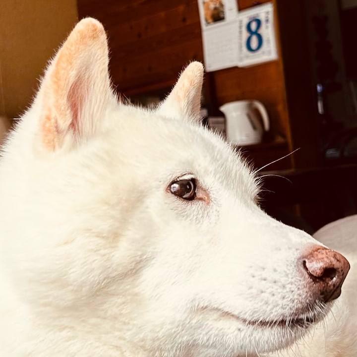 7f80c3c3 b5f1 4352 8942 939d6461f341 1739065852823