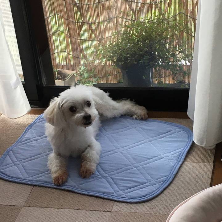 7f8108b6 a0be 433a a211 fdeca37bc38b 1598311294706