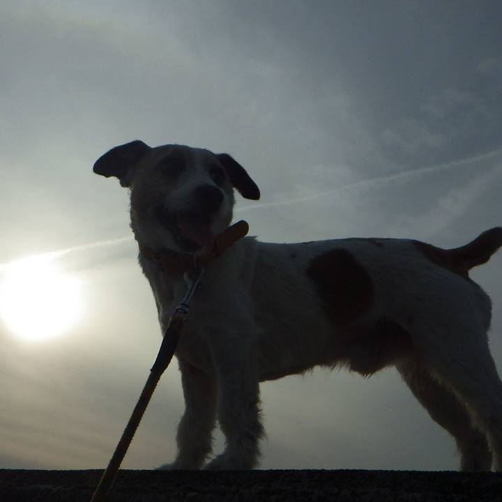 7f812344 a0d5 4e55 bd0f 85b720cf422c 1553077132290