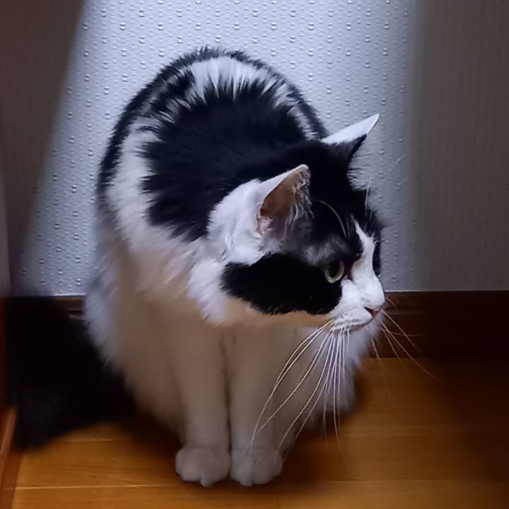 7f8135e9 034c 4e4f 950f 58fe68d21a4d 1644107910962