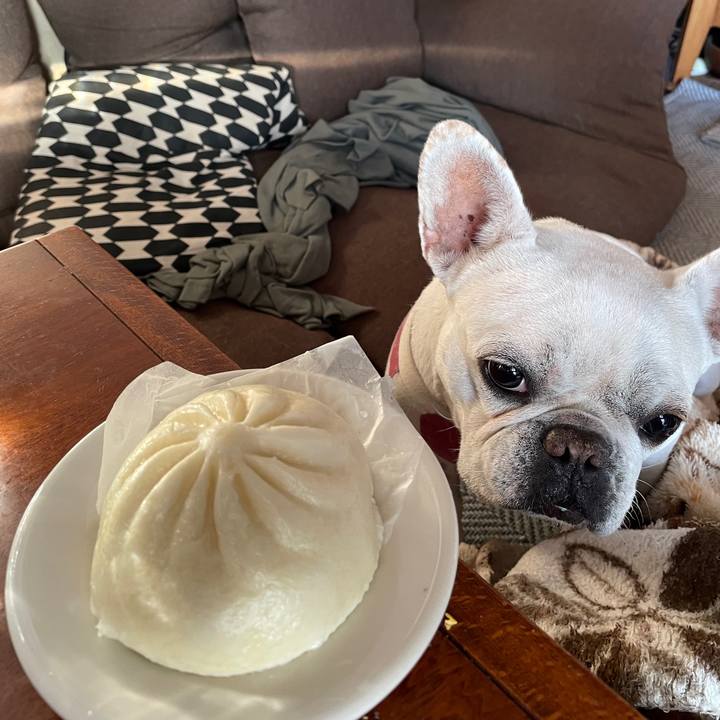 7f8149ed 4840 4585 aaaa 147778de0725 1733181859578