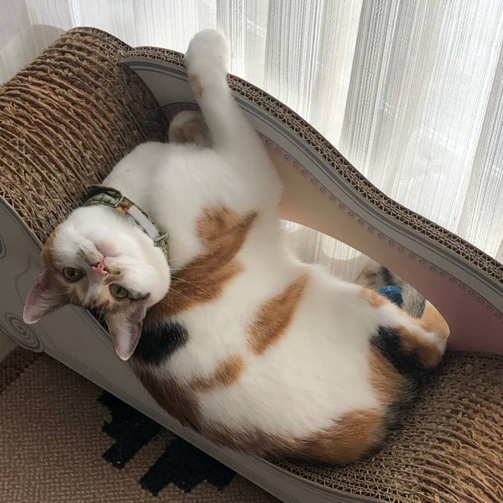 7f8159de bdb9 494e 9f02 db21cc9f7076 1596942871514