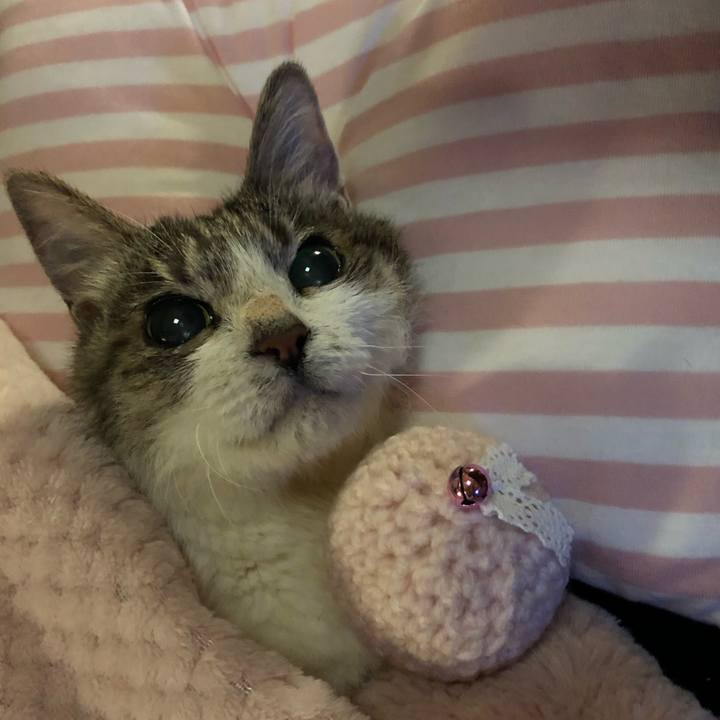 7f81639e 5392 4bd9 b337 daef489cde9d 1559090380746