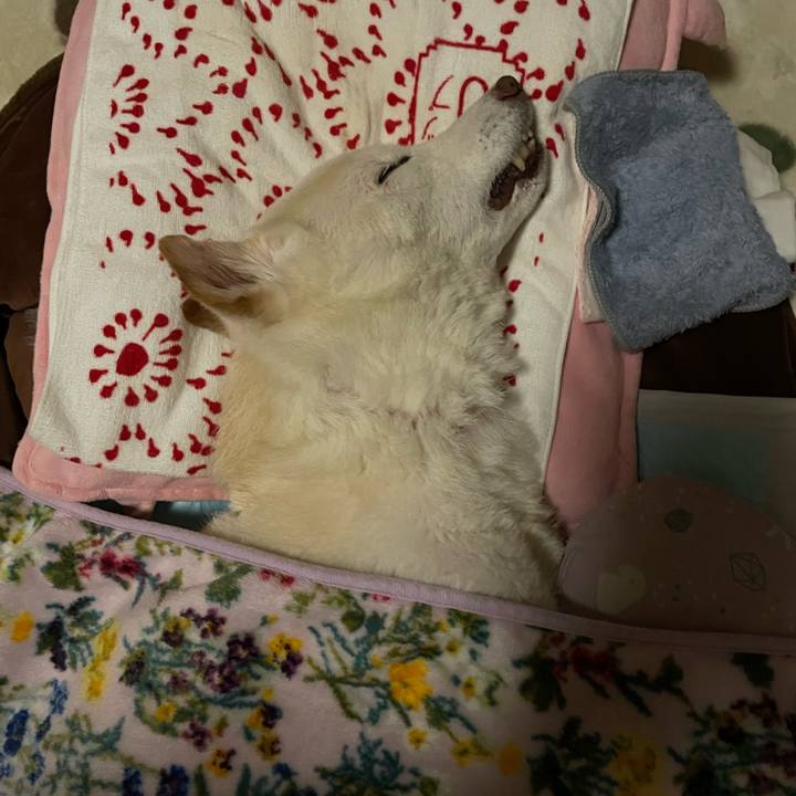 7f819115 ba8b 44b3 be9e 200eff64c97c 1679002047914