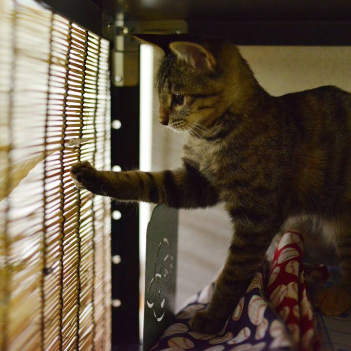 7f81d622 f4f4 44e5 a043 9116fb4166a7 1541676289128