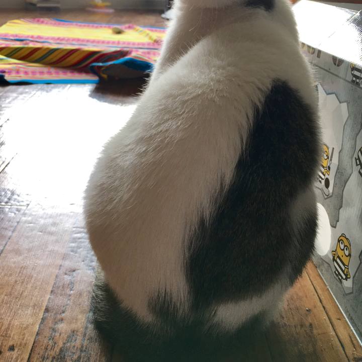 7f82742c e641 4262 939d 49fcbd3e02d1 1513930635352