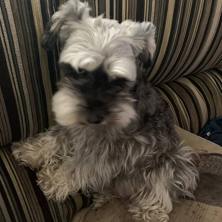 7f8276e4 5395 4ed6 a472 1300d835d8fc 1597206788873