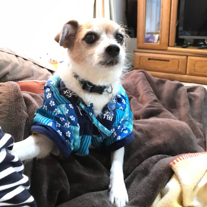 7f828201 33b6 4d4e af27 a7fb6087ff01 1637965259511