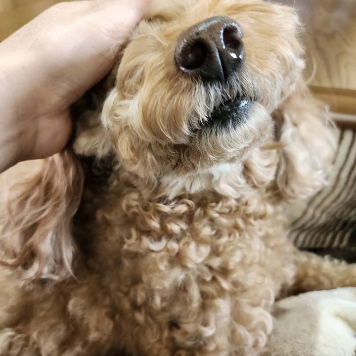 7f828997 81e7 4302 82c8 428612270382 1772864574931