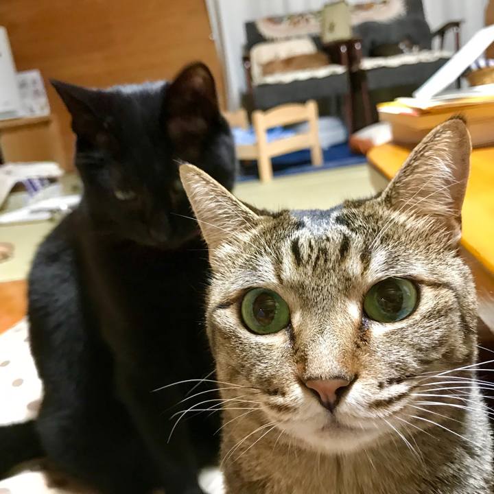 7f828bae 29c8 4577 85da 89e60fd9fff2 1530790959473