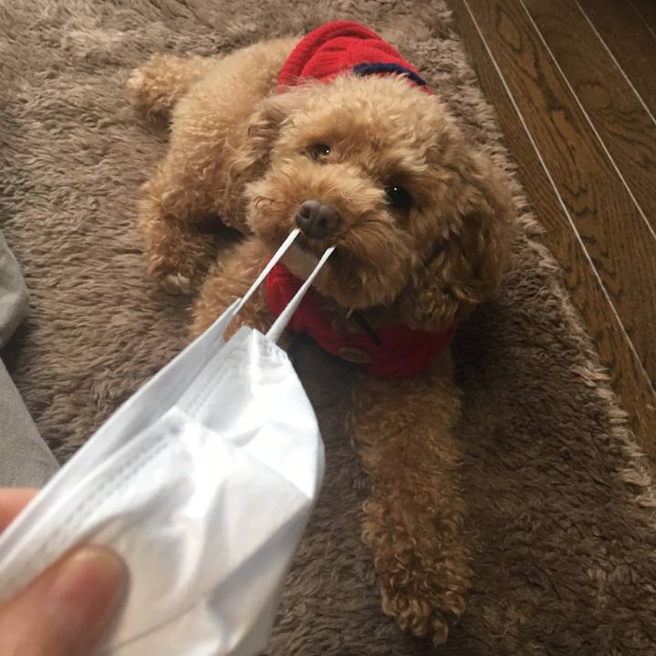 7f828cbf bb0f 489b b694 2f9c51402e26 1511774184855