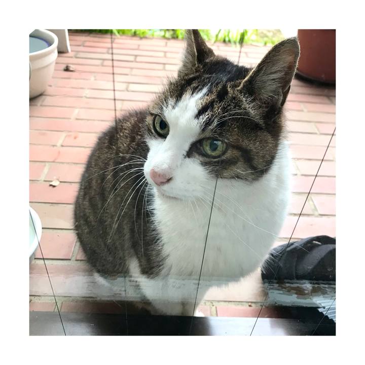 7f830784 5309 4cb6 acc9 66b4bb6e0639 1644797964360