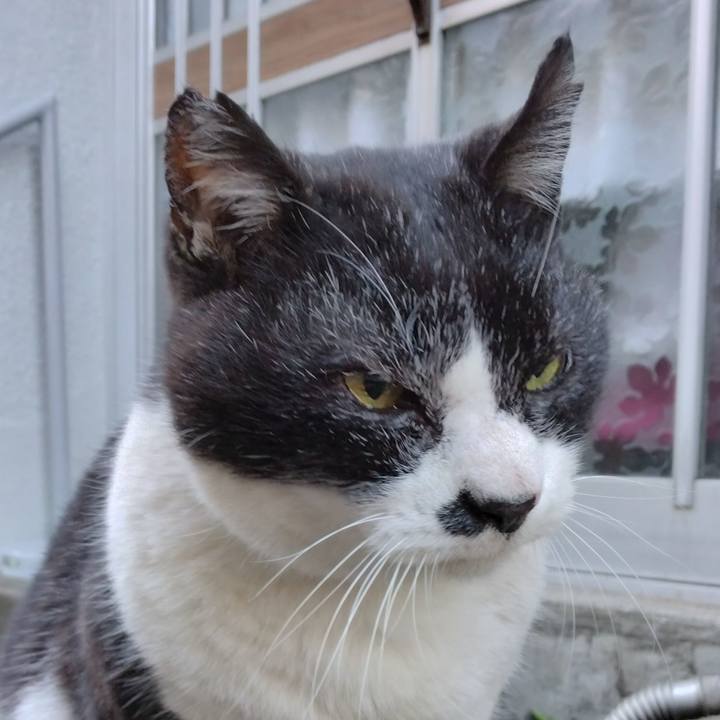 7f831cb5 1744 4347 8f6f f95484de5196 1703201035045