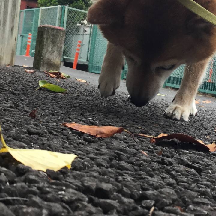 7f8326e5 31bc 4be9 8d9a 1ce9115186d4 1627892796767