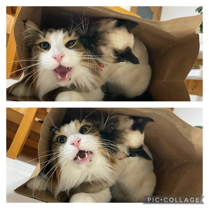 7f83415c c4af 4d96 aa18 8ad0266ba844 1704710720332