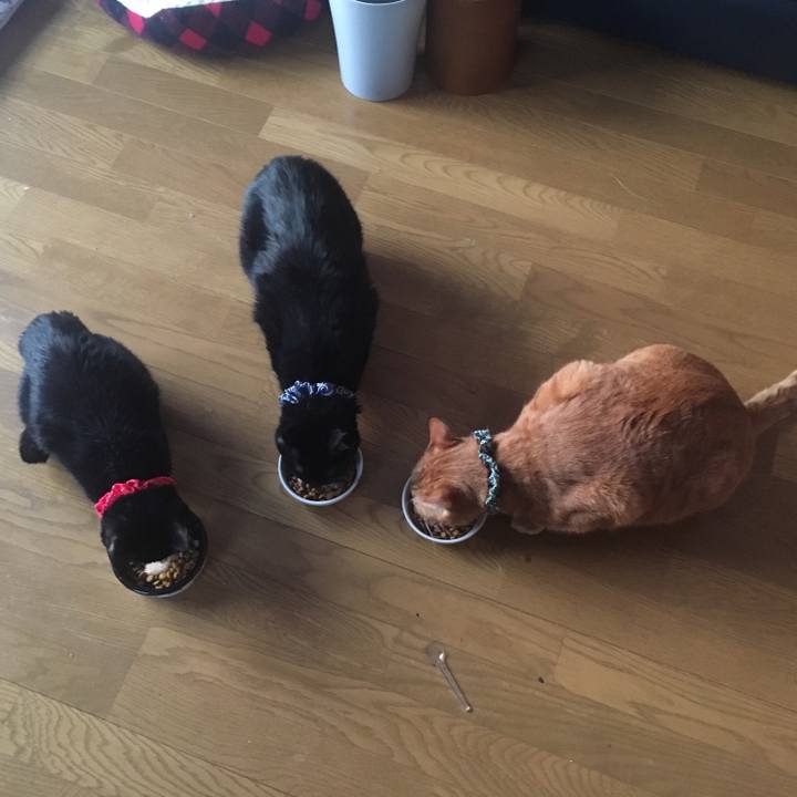 7f834400 b722 460d ad10 ddcf3ce0befe 1553030784147